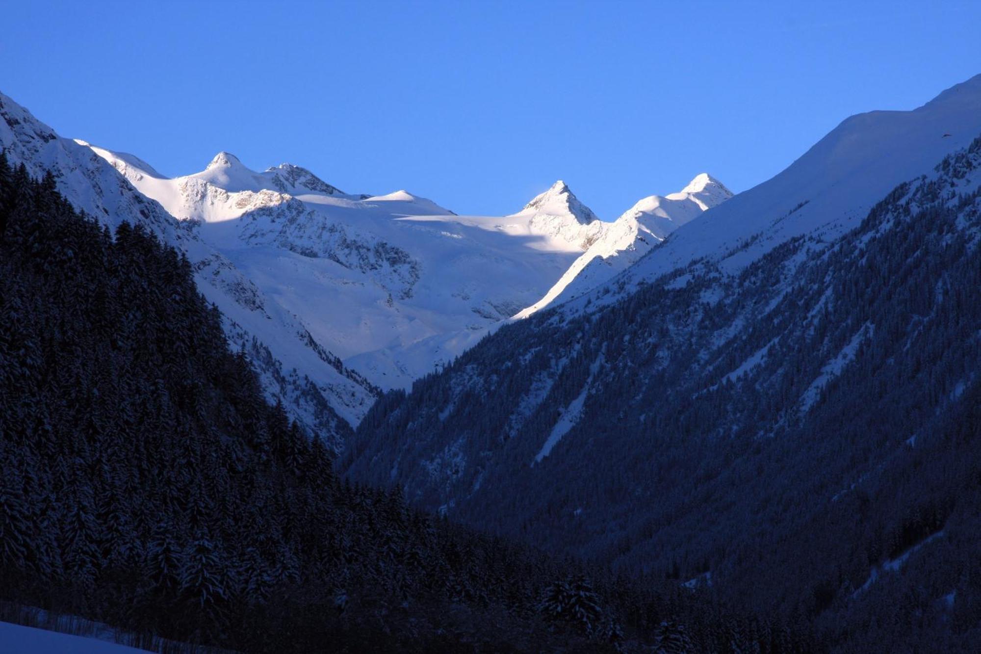 Haus Larcher * Neustift im Stubaital