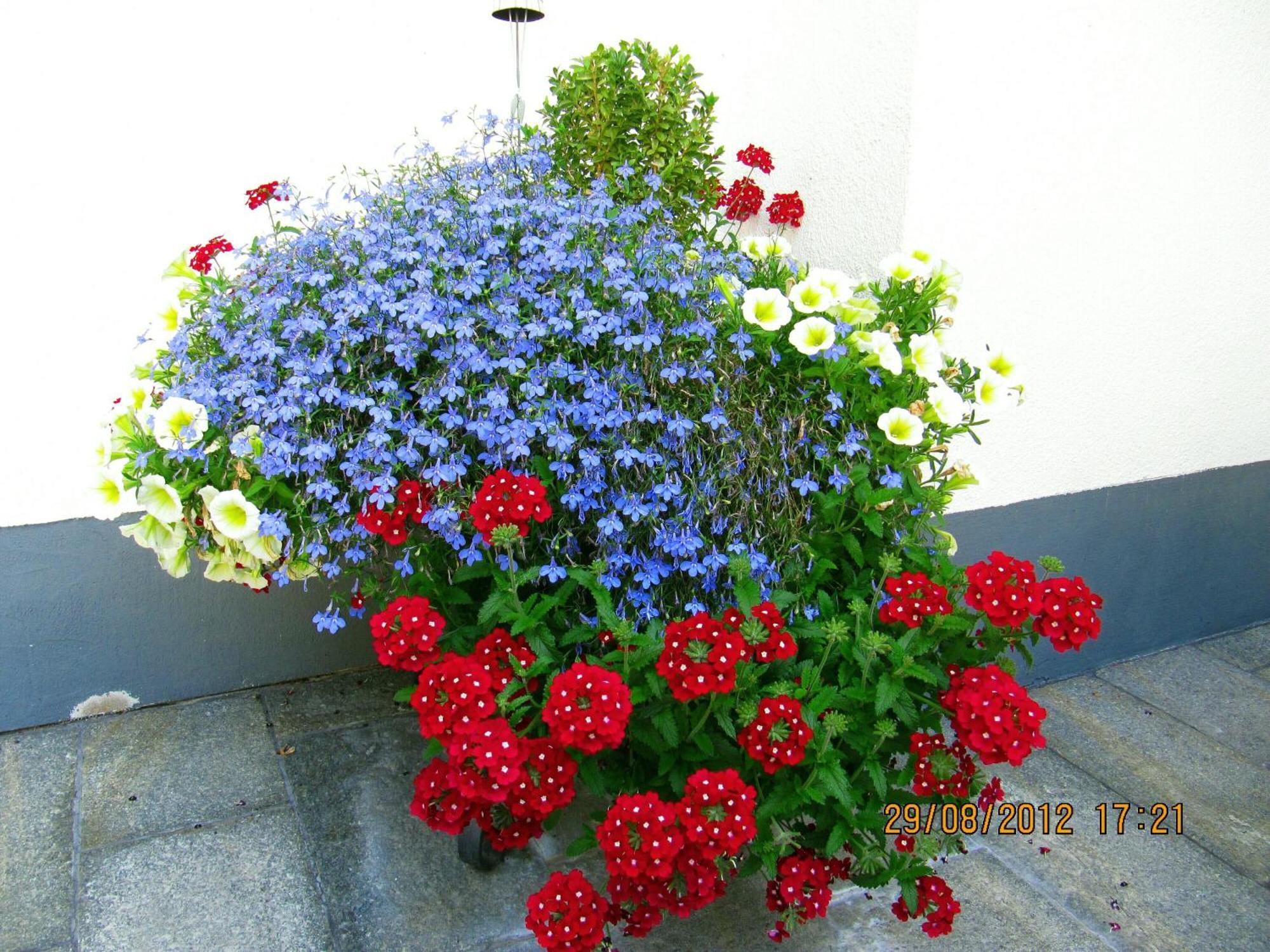 Haus Larcher * Neustift im Stubaital